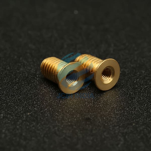 Brass Sealing Screw 5
